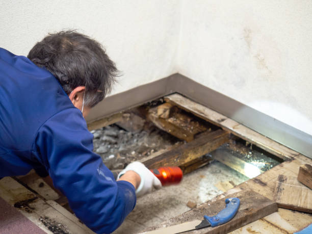 Best Crawl Space Mold Removal  in Hawthorne, NY