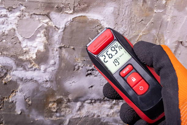Best Home Mold Removal  in Hawthorne, NY