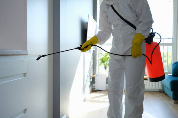 Best Local Mold Removal Service  in Hawthorne, NY