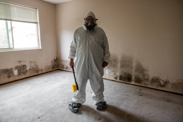 Best Mold Removal Near Me  in Hawthorne, NY