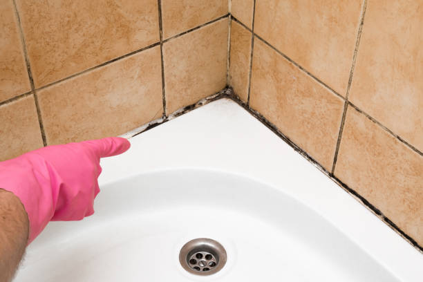 Best Mold Cleaning Services  in Hawthorne, NY